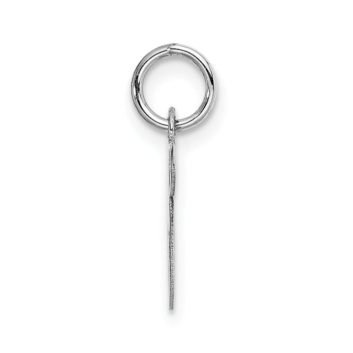 14k White Gold Small Fancy Script Letter S Initial Charm-YC651S