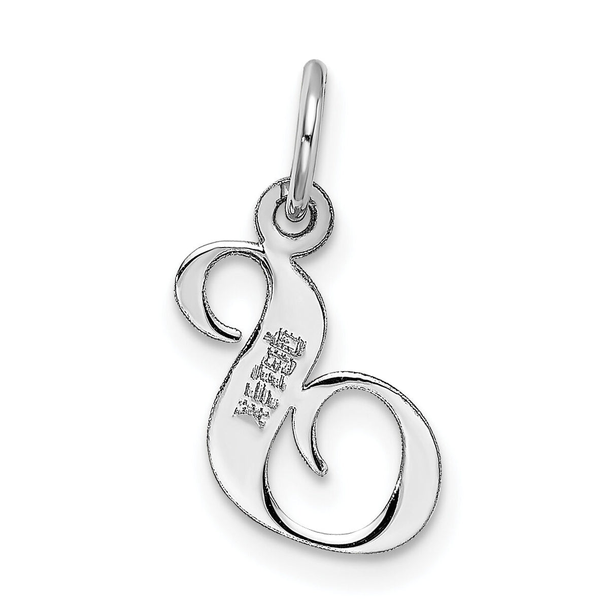 14k White Gold Small Fancy Script Letter S Initial Charm-YC651S