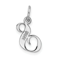 14k White Gold Small Fancy Script Letter S Initial Charm-YC651S
