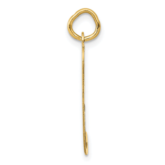 14k Large Fancy Script Letter P Initial Charm-YC654P