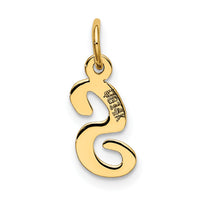 14k Small Script Letter S Initial Charm-YC658S