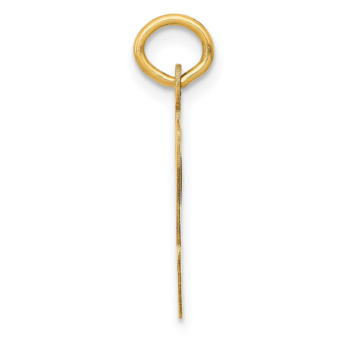 14k Large Script Letter V Initial Charm-YC662V