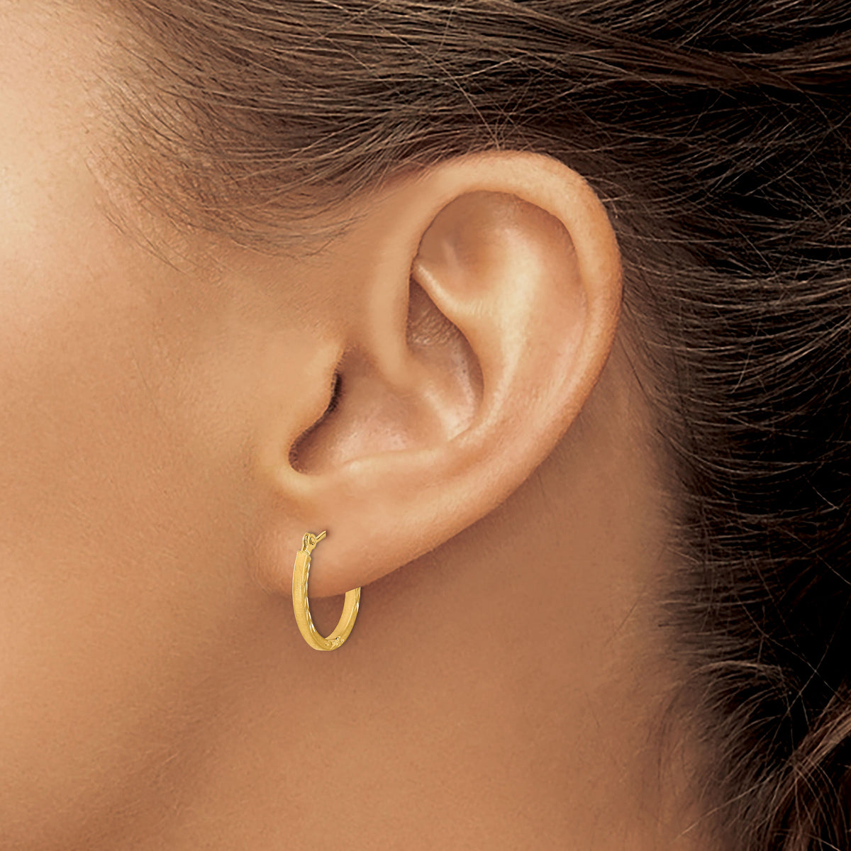 14k Satin and Polished Diamond Cut Design Hoops-YE1762