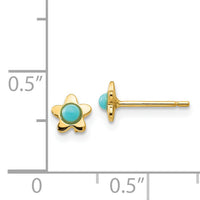 14k Polished Turquoise Star Post Earrings-YE179