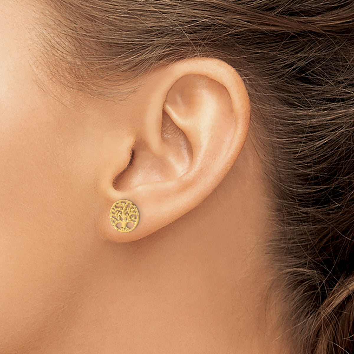14k Round Tree Post Earrings-YE1829