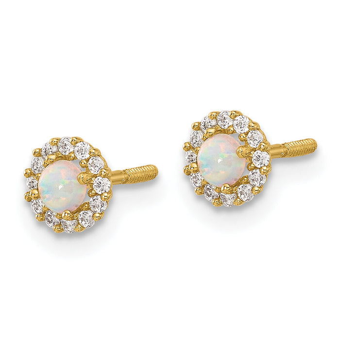14K Polished CZ and Created Opal Circle Screwback Post Earrings-YE2134