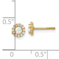 14K Polished CZ and Created Opal Circle Screwback Post Earrings-YE2134
