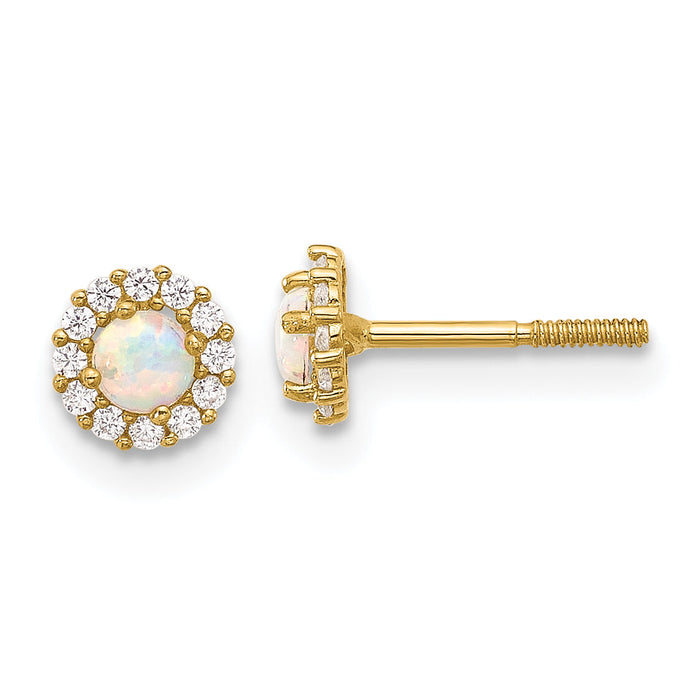 14K Polished CZ and Created Opal Circle Screwback Post Earrings-YE2134