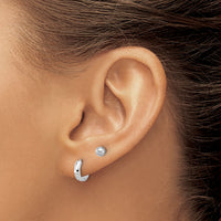 14K White Gold Polished 4mm Ball and D/C Hinged Hoop Earring Set-YE2168WSET