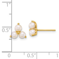 14k Polished Freshwater Cultured Pearls Post Earrings-YE2255
