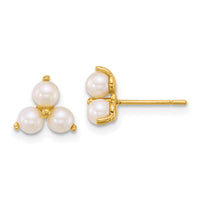 14k Polished Freshwater Cultured Pearls Post Earrings-YE2255