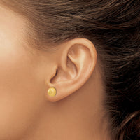 14k Hollow Satin 8.00mm Half Ball Post Earrings-Z1203