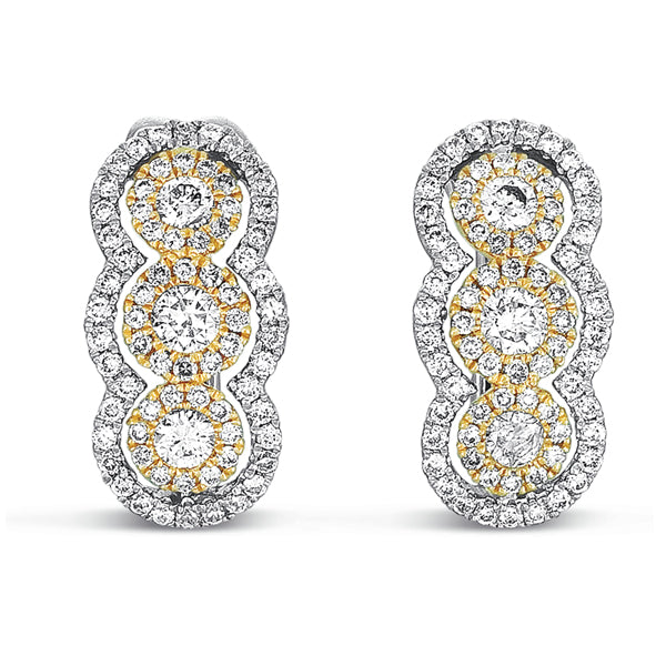 White & Yellow Gold Diamond Earring - E7767YW