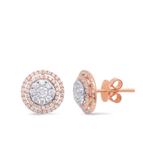 White & Rose Gold Diamond Stud Earring - E7807RW