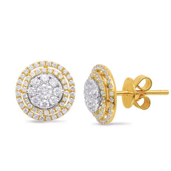 White & Yellow Gold Diamond Stud Earring - E7807YW