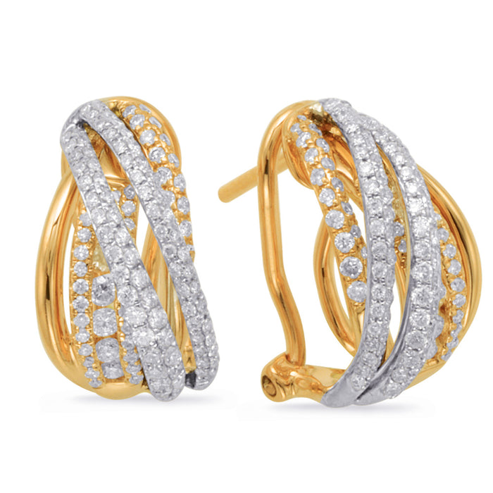 Yellow & White Gold Diamond Earring - E7871YW