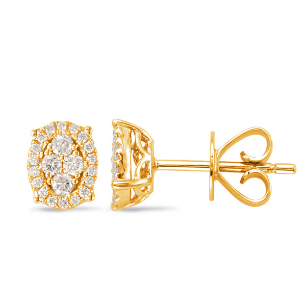 Yellow Gold Diamond Earring - E7919YG