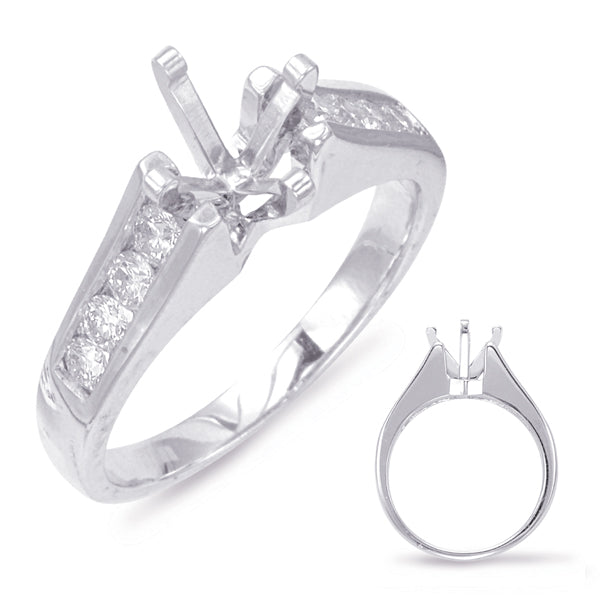 Platinum Engagement Ring - EN0171-PL