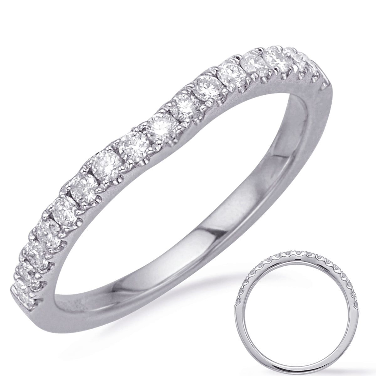 White Gold Wedding Band - EN7550-BWG