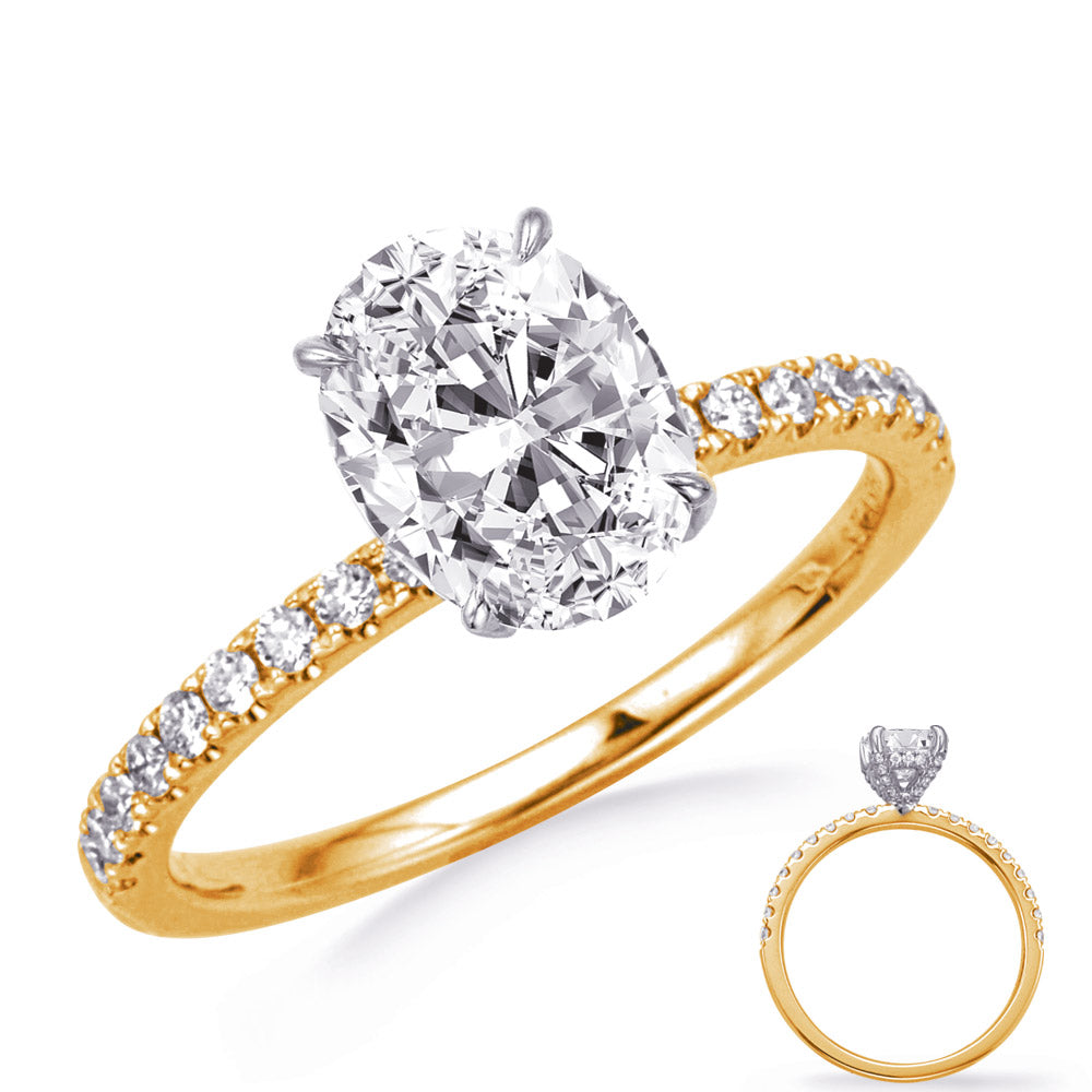 White & Yellow Gold Engagement Ring - EN8311-6X4OVYW