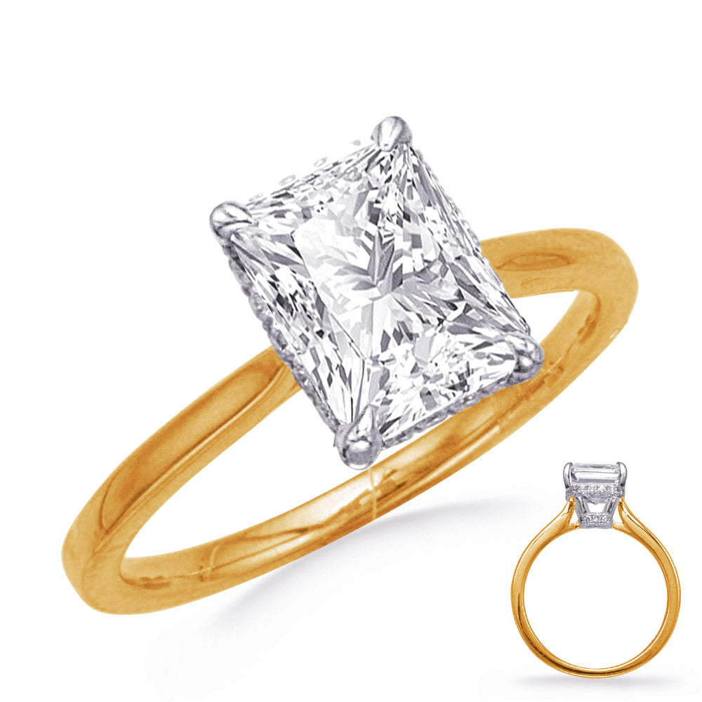 Yellow & White Gold Engagement Ring - EN8344-8X6ECYW