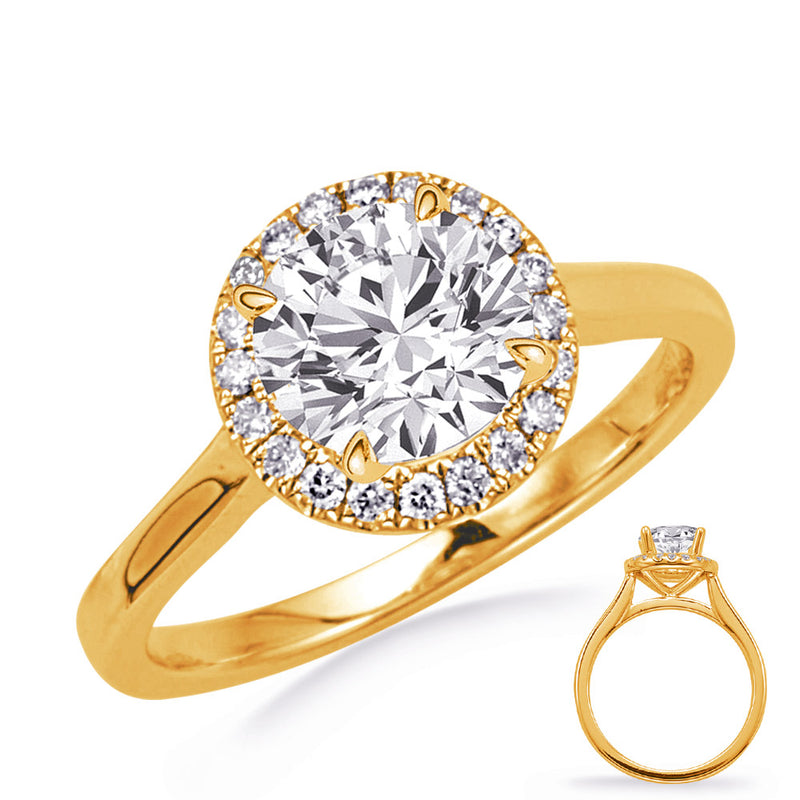 Yellow Gold Engagement Ring - EN8349-2YG