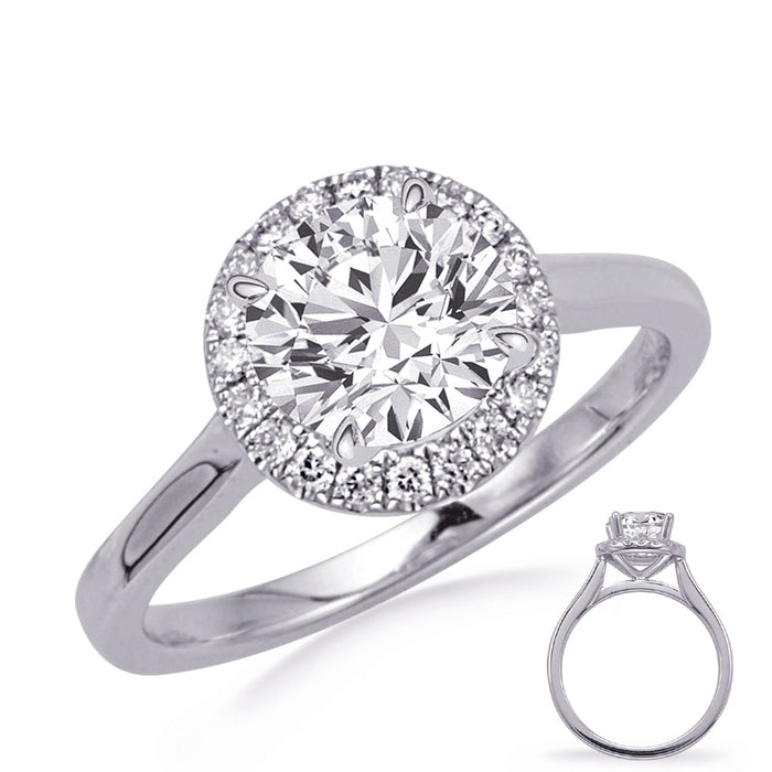 White Gold Engagement Ring - EN8349-33WG