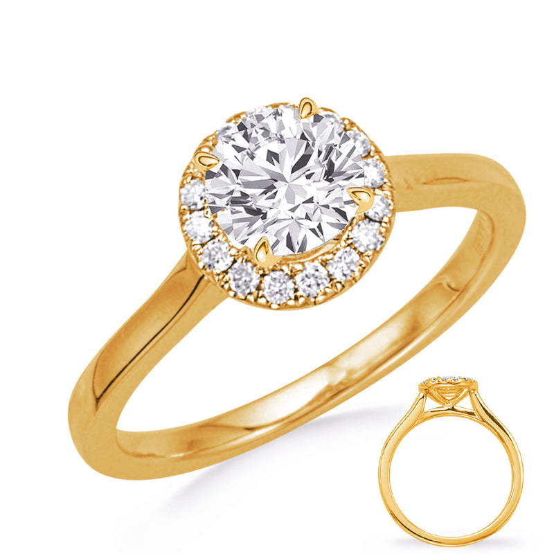 Yellow Gold Engagement Ring - EN8349-50YG