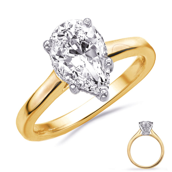 Yellow & White Gold Engagement Ring - EN8352-6X4PSYW