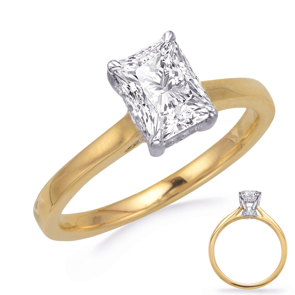 Yellow & White Gold Engagement Ring - EN8362-8X6MYW