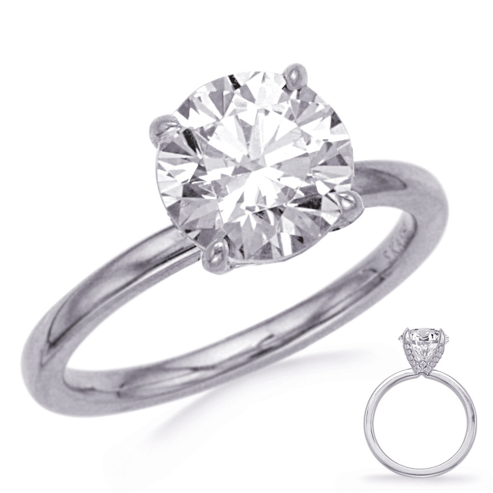 White Gold Engagement Ring - EN8390-2WG